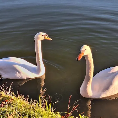 Kristall Real Apartamento