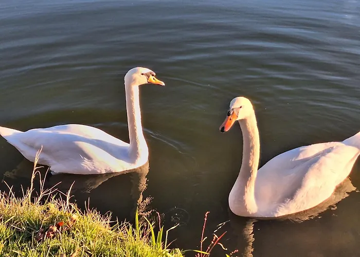 Kristall Real Appartement